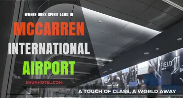 Spirit Airlines McCarran Airport Terminal Guide: Arrivals and Departures