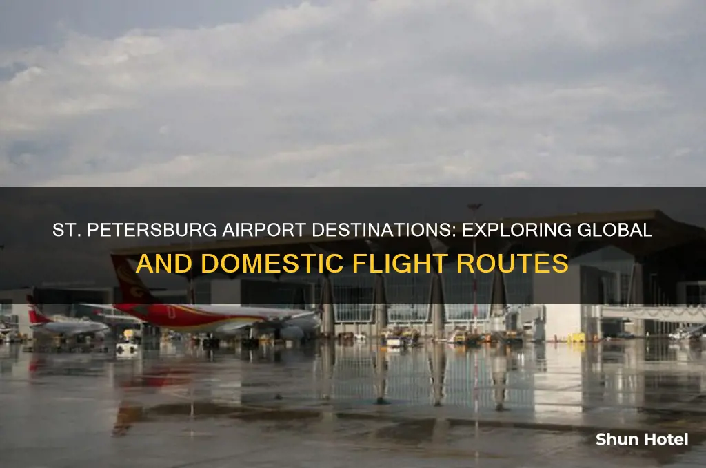 where does st petersburg airport fly to
