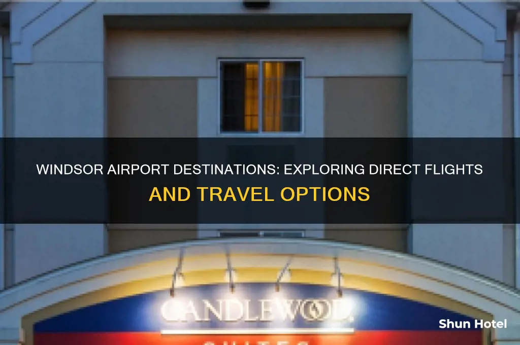 where does the windsor airport fly to