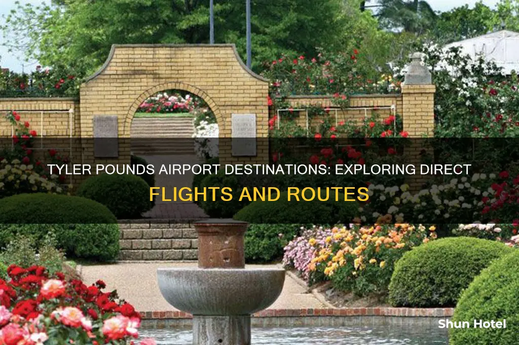 where does tyler pounds airport fly to