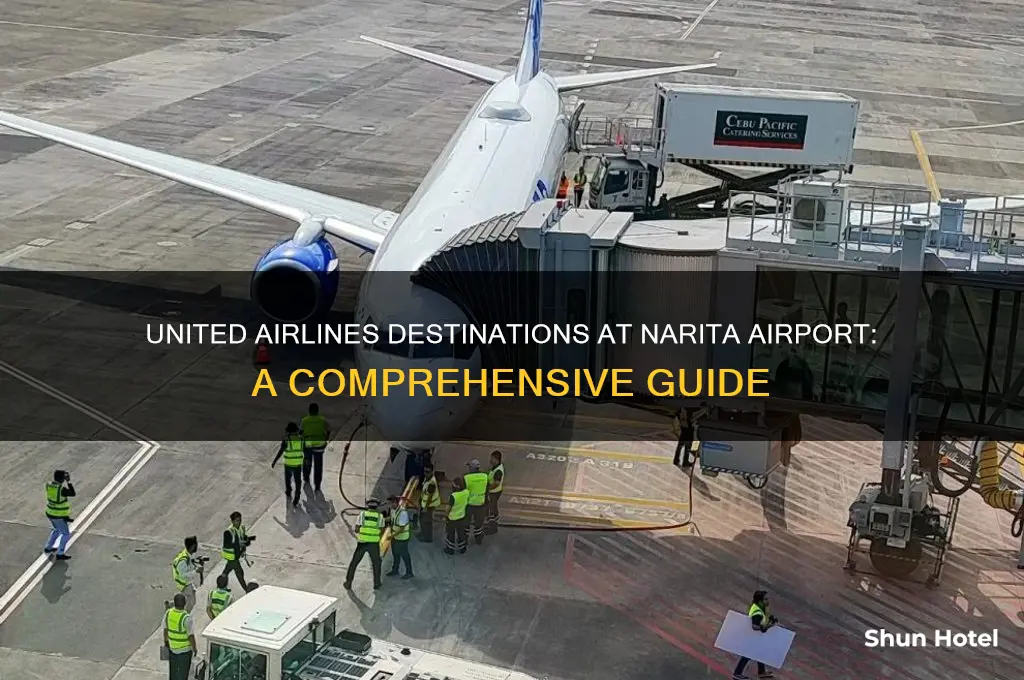 where does united airines fly into at narita airport