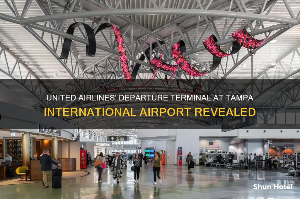 where does united depart from tampa international airport