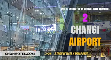 Navigating Changi Airport: Escalator Locations in Terminal 2 Arrival Hall