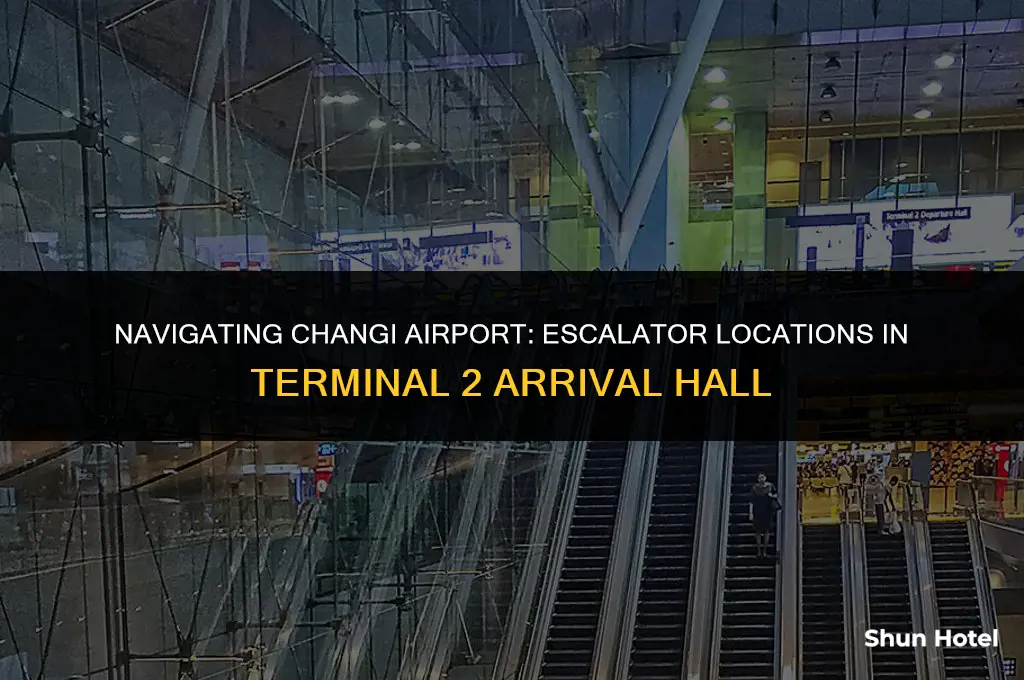 where escalator in arrival hall terminal 2 changi airport
