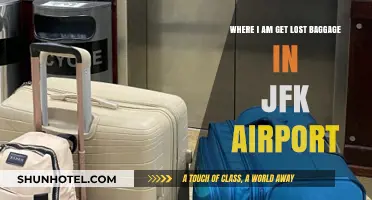 Lost Luggage at JFK: Where to Find Your Missing Baggage