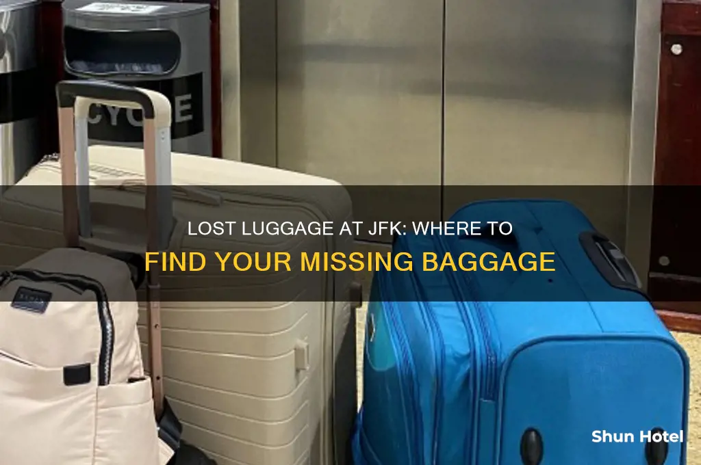 where i am get lost baggage in jfk airport