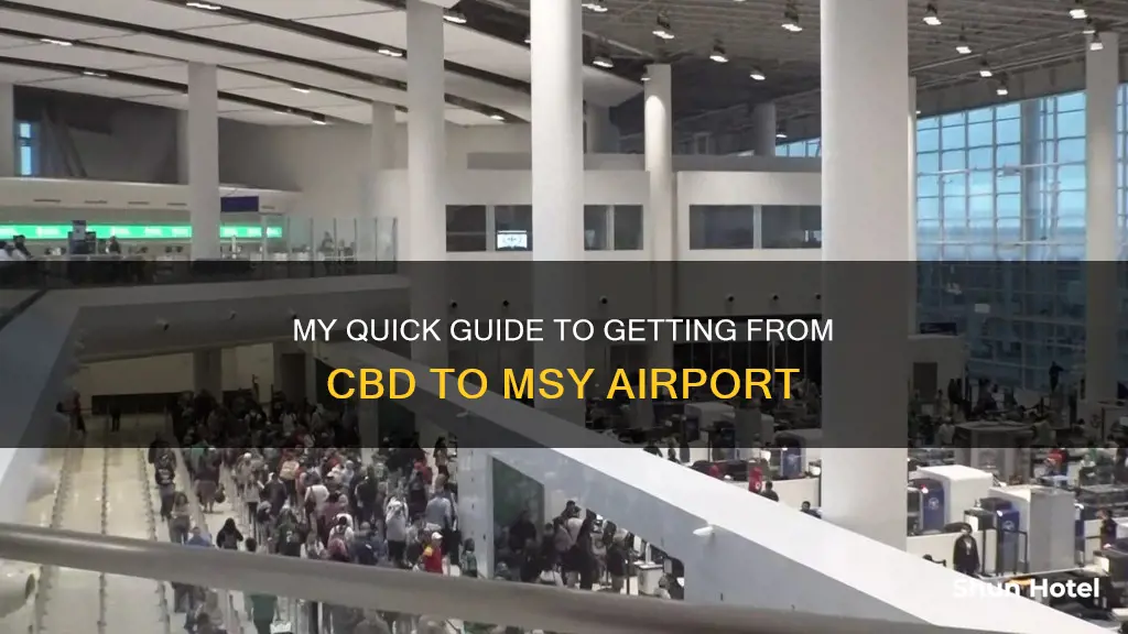 where i am to msy airport