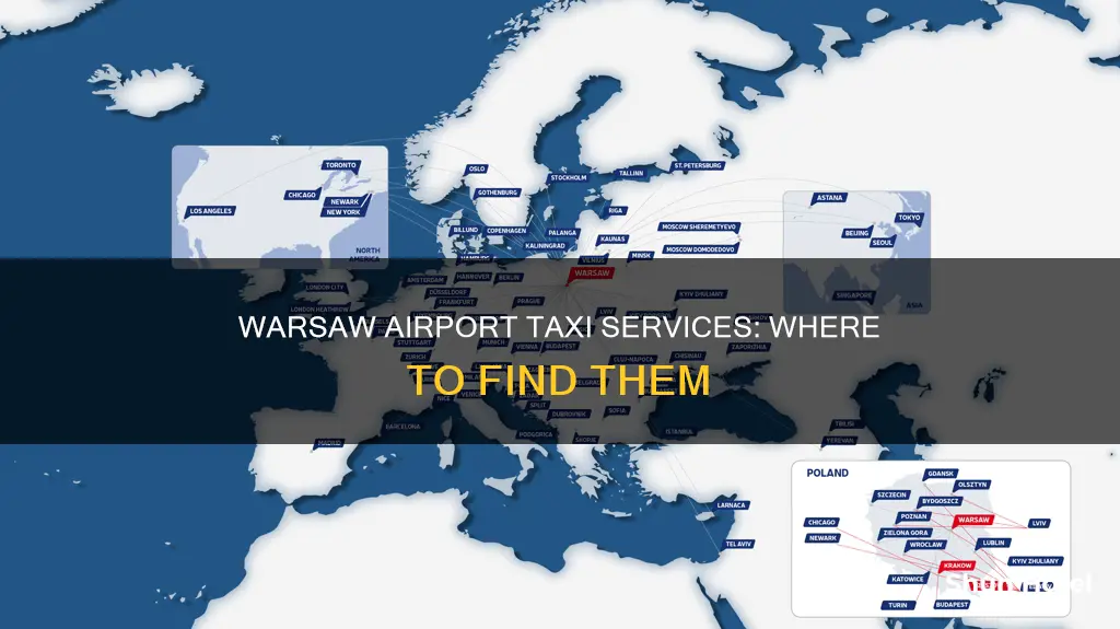 where in warsaw airport is taxi