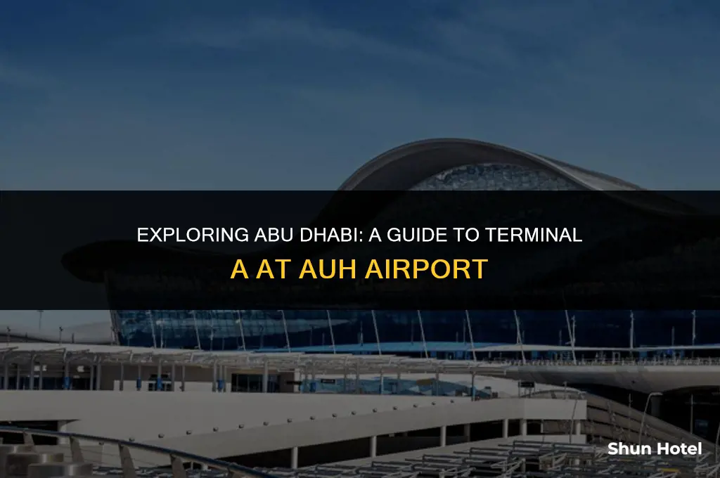 where is abu dhabi airport terminal a