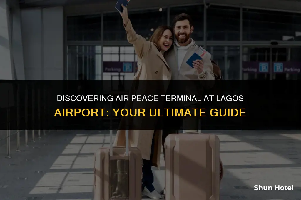 where is air peace terminal in lagos airport