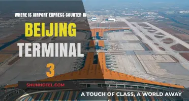 Navigating Beijing Terminal 3: Locate the Airport Express Counter Effortlessly