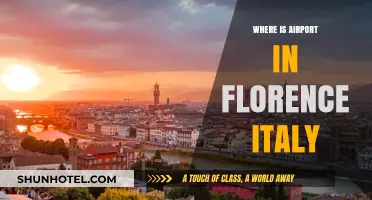 Florence Airport: Location and Travel Tips