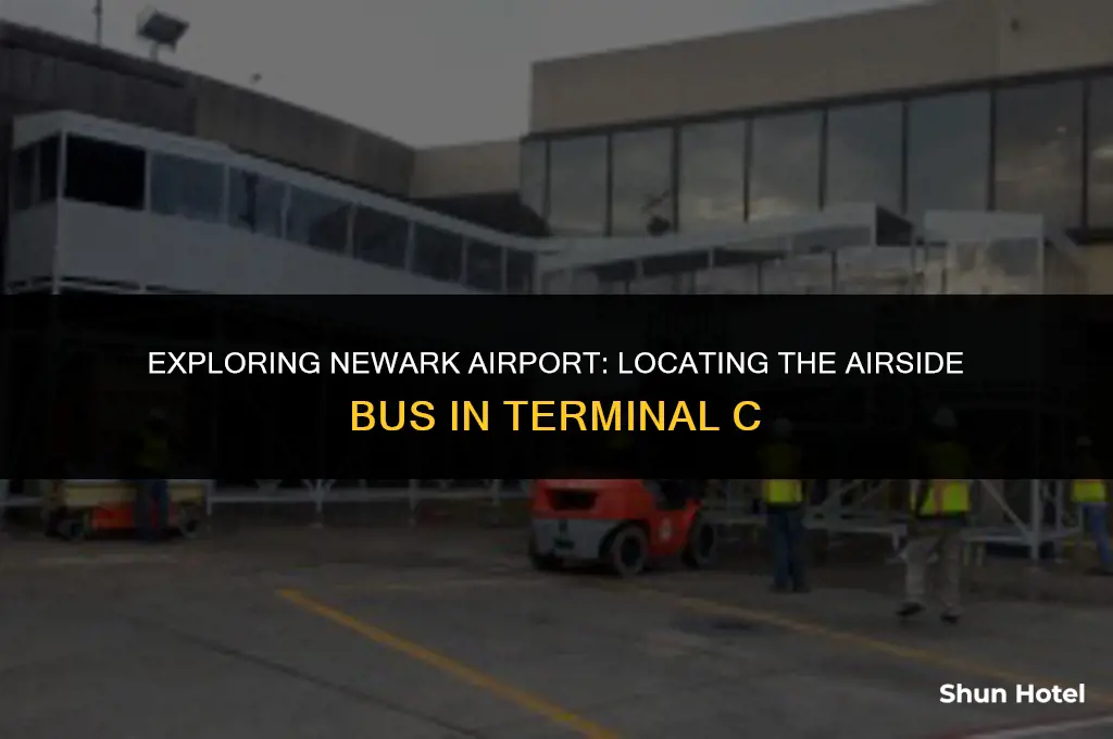 where is airside bus in terminal c newark airport