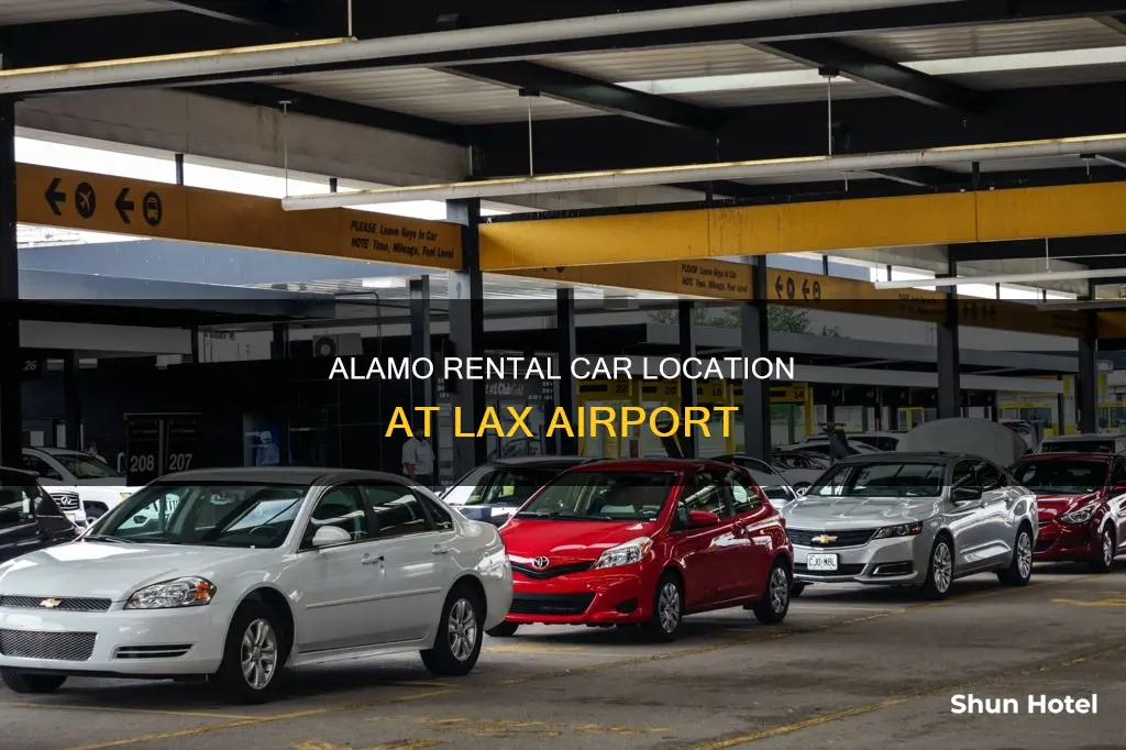 where is alamo at lax airport