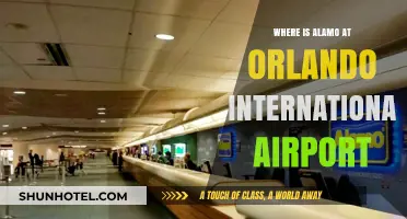 Alamo Car Rental Location Guide: Navigating Orlando International Airport