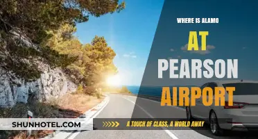 Alamo Car Rental at Pearson Airport: Location and Services