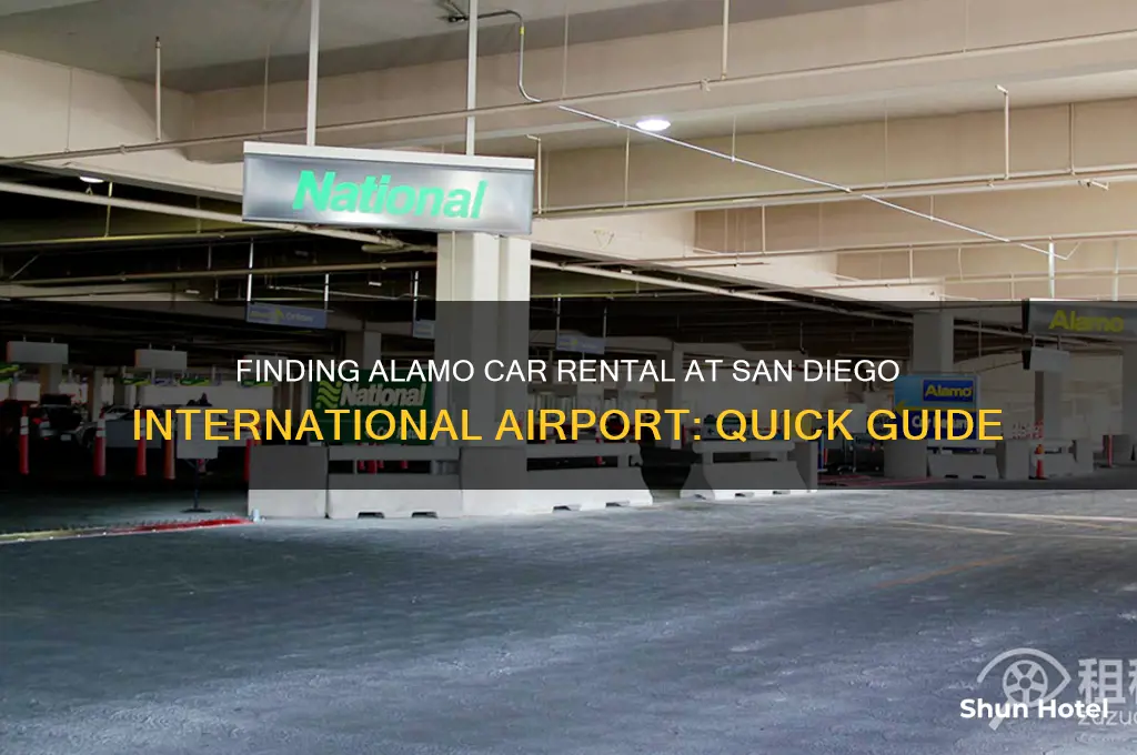 where is alamo car rental at san diego international airport