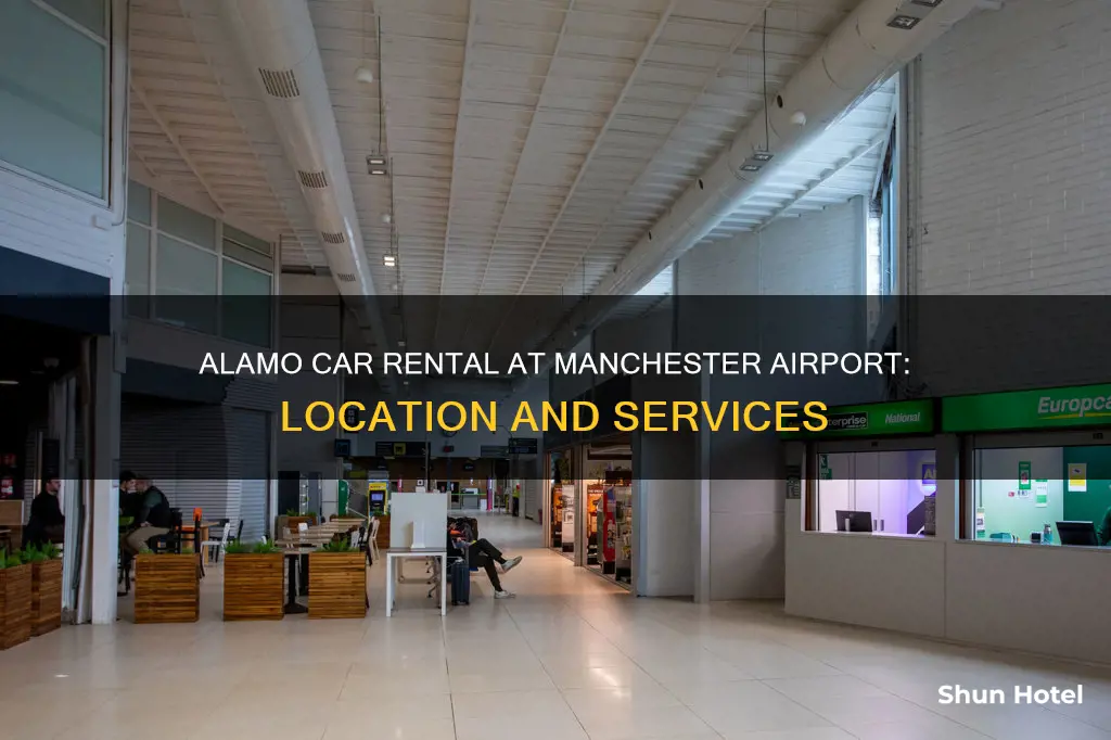 where is alamo in manchester airport