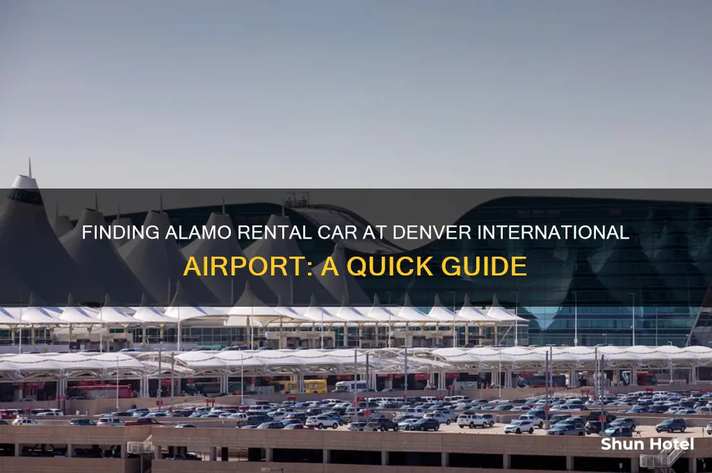 where is alamo rental car at denver international airport