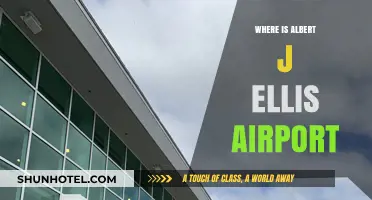 Albert J Ellis Airport: Location and Significance