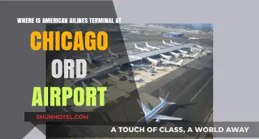 Exploring Chicago O'Hare: A Guide to American Airlines Terminal