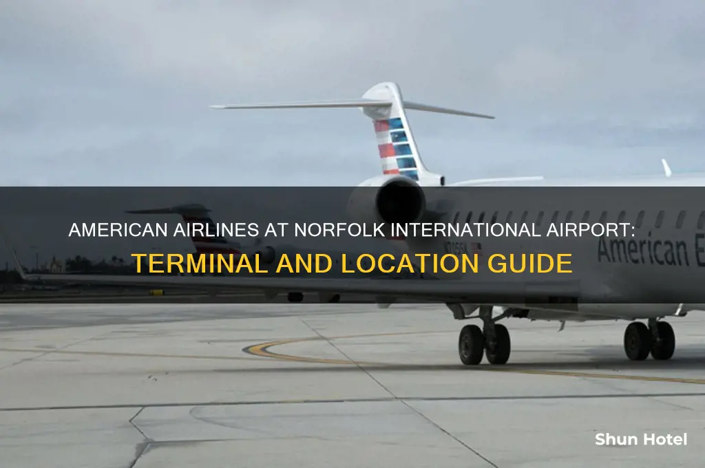 where is american airlines at norfolk international airport