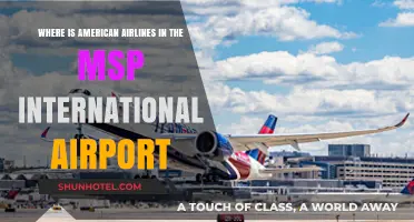 Navigating MSP: American Airlines Terminal and Location Guide