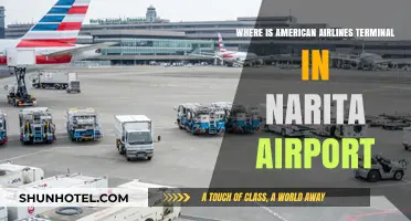 Navigating Narita: Locating American Airlines Terminal with Ease