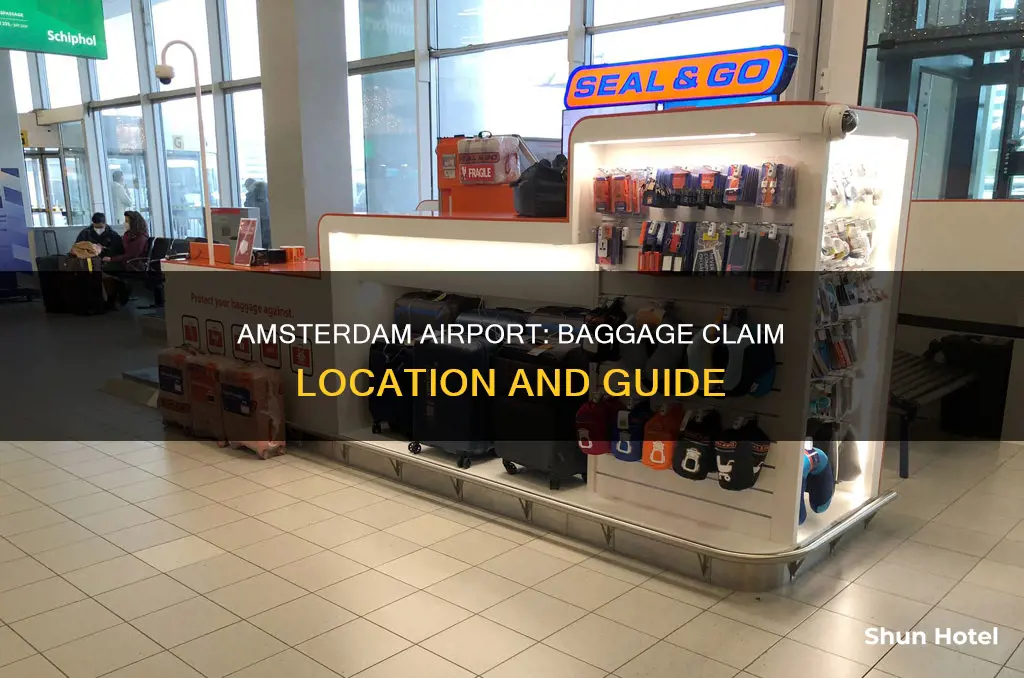 where is amsterdam airport baggage claim