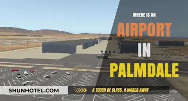 Palmdale Regional Airport: Location and Services