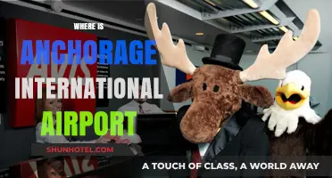 Anchorage International Airport Location: A Comprehensive Guide to Finding It