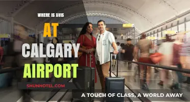 Avis Car Rental: Quick Access at Calgary Airport