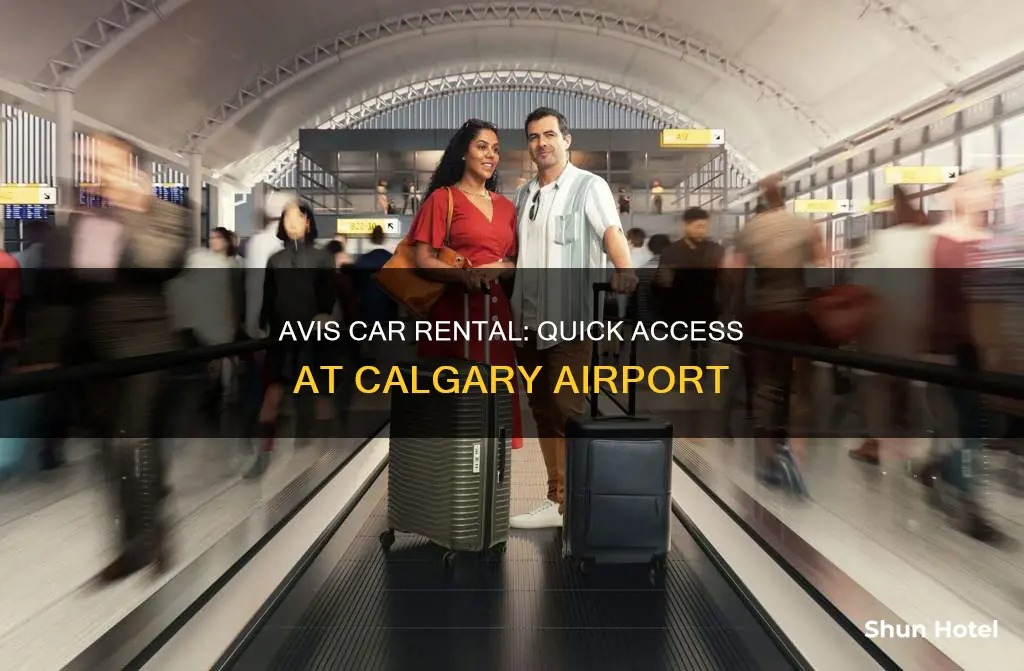 where is avis at calgary airport