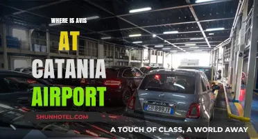Avis Car Rental: Navigating Catania Airport