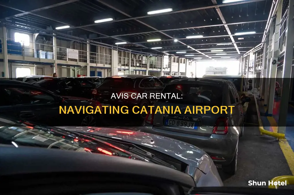 where is avis at catania airport