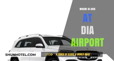 Avis Car Rental: Quick Access at Denver International Airport