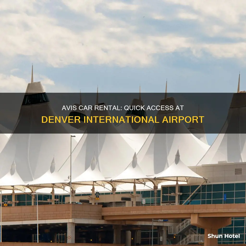 where is avis at dia airport