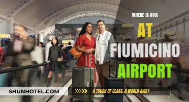 Avis at Fiumicino: Finding the Rental Car Location