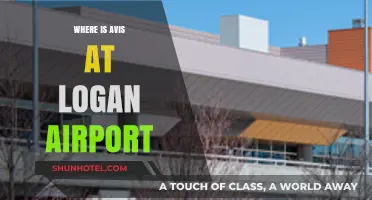 Avis Car Rental: Logan Airport Location Guide