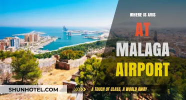 Avis Car Rental at Malaga Airport: Where to Find It