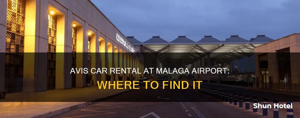 where is avis at malaga airport