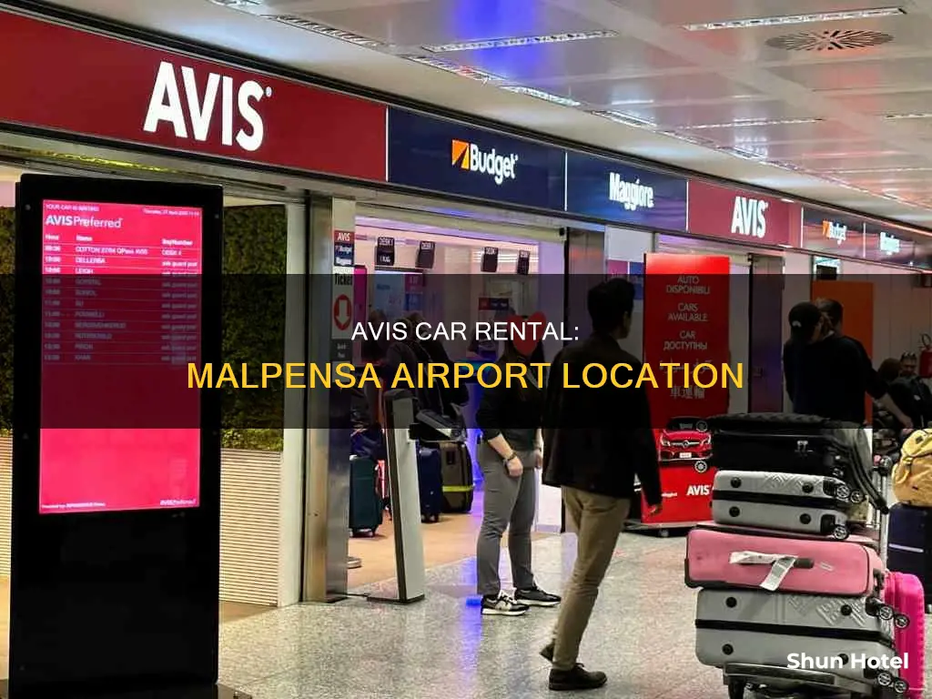 where is avis at malpensa airport