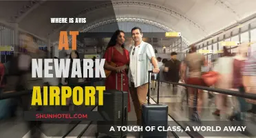 Avis Car Rental: Navigating Newark Airport