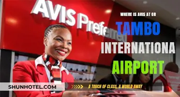 Finding Avis Car Rental at OR Tambo International Airport: A Quick Guide