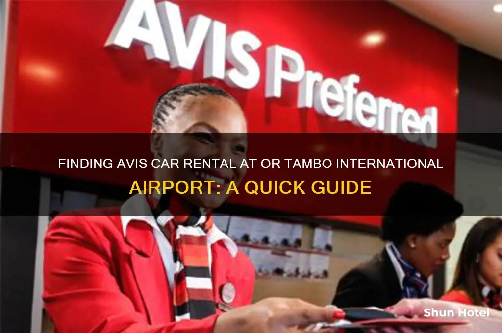 where is avis at or tambo international airport