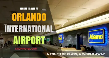 Finding Avis Car Rental at Orlando International Airport: A Quick Guide