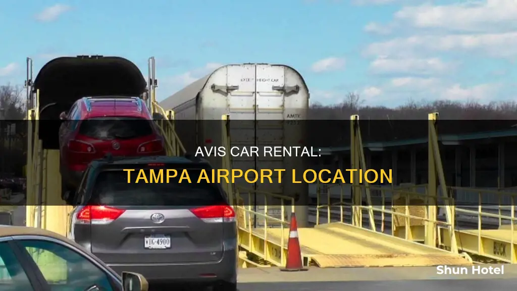 where is avis at tampa airport