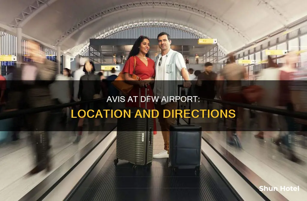 where is avis in dfw airport