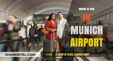 Avis Car Rental: Navigating Munich Airport Terminals
