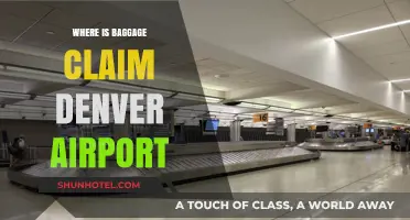 Denver Airport Baggage Claim: Where to Go?